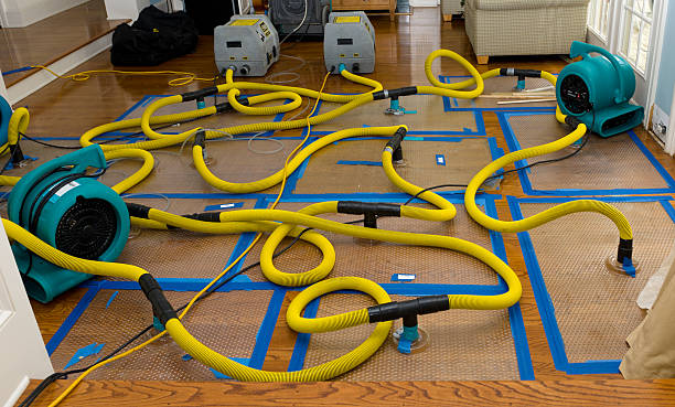 Professional Flood Damage Restoration technician working in Dawson, IA